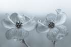 USA, Washington State, Seabeck. Dogwood blossoms. Art Print